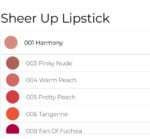 رژ لب جامد Sheer Up فلورمار